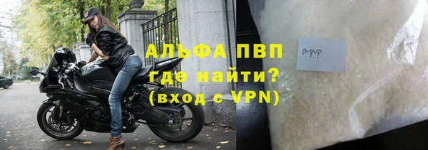 эйфоретик Елизово