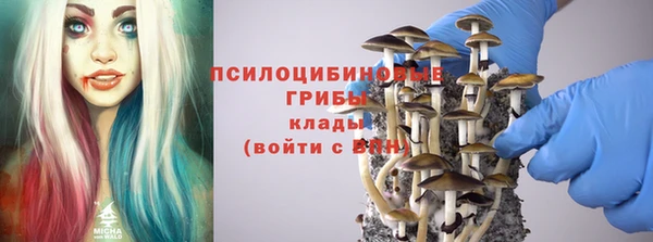 эйфоретик Елизово