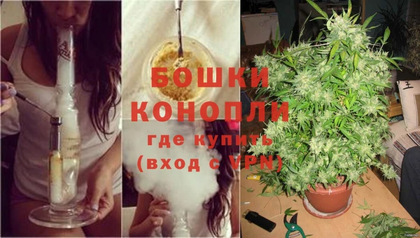 бошки Ельня