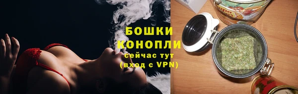 бошки Ельня