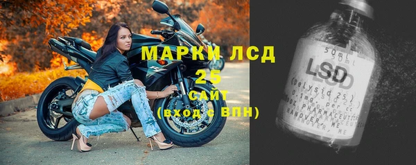 гашик Дмитровск