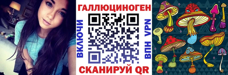 Купить  Изобильный  Псилоцибиновые грибы Psilocybine cubensis 